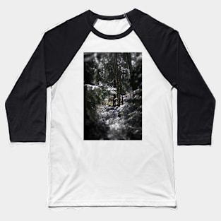 snowy Oregon forest 5 Baseball T-Shirt